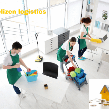Affordable Domestic Shifting